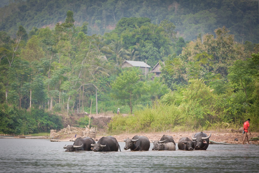 Muang La, North Laos