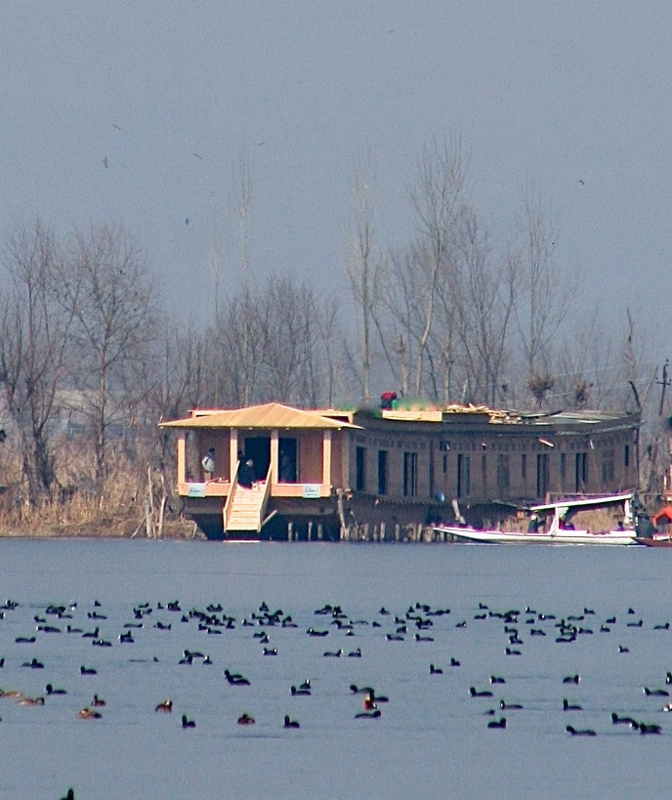 Sukoon luxury houseboat, Kashmir