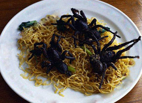 cambodian-spiders