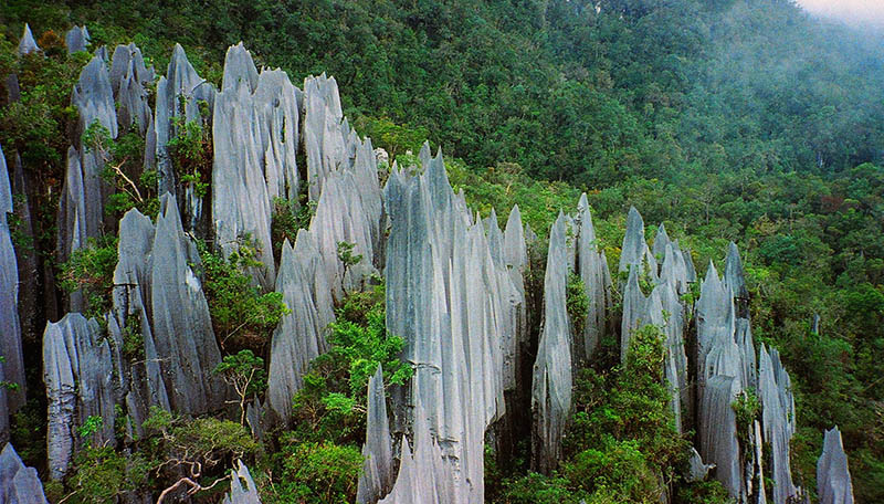 gunung-mulu-view