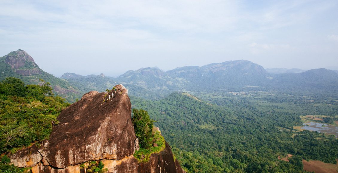 GAL_OYA_CAMPBELL_BREWER_IMG-97