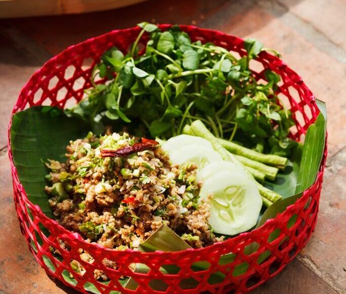 Manda1-1-683×1024-1