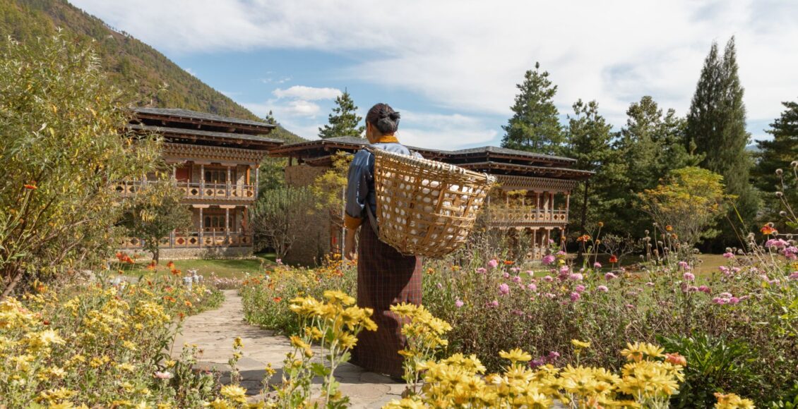 tiger-2000-x-1100-px