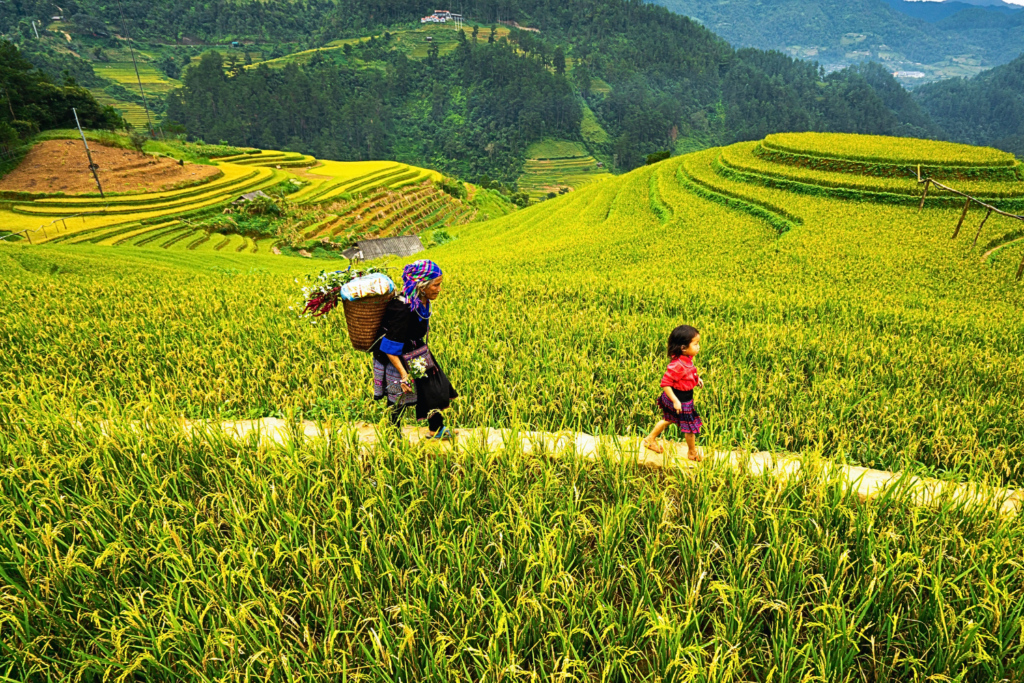 Secret Retreats Launches “The Butler” - Secret Retreats Blog