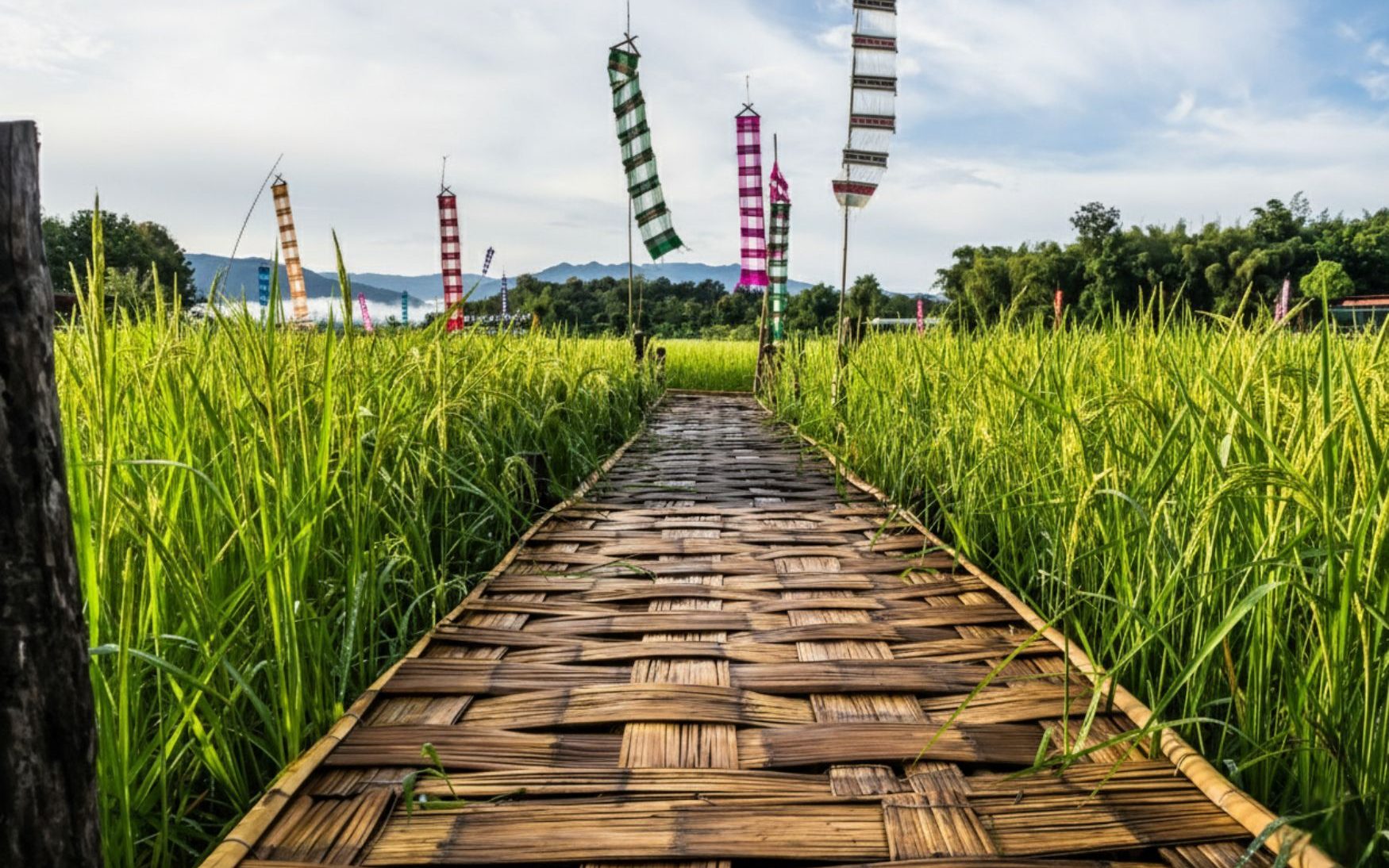 Nan is one of Northern Thailand’s most poetic provinces. Once a part of the Lanna kingdom.