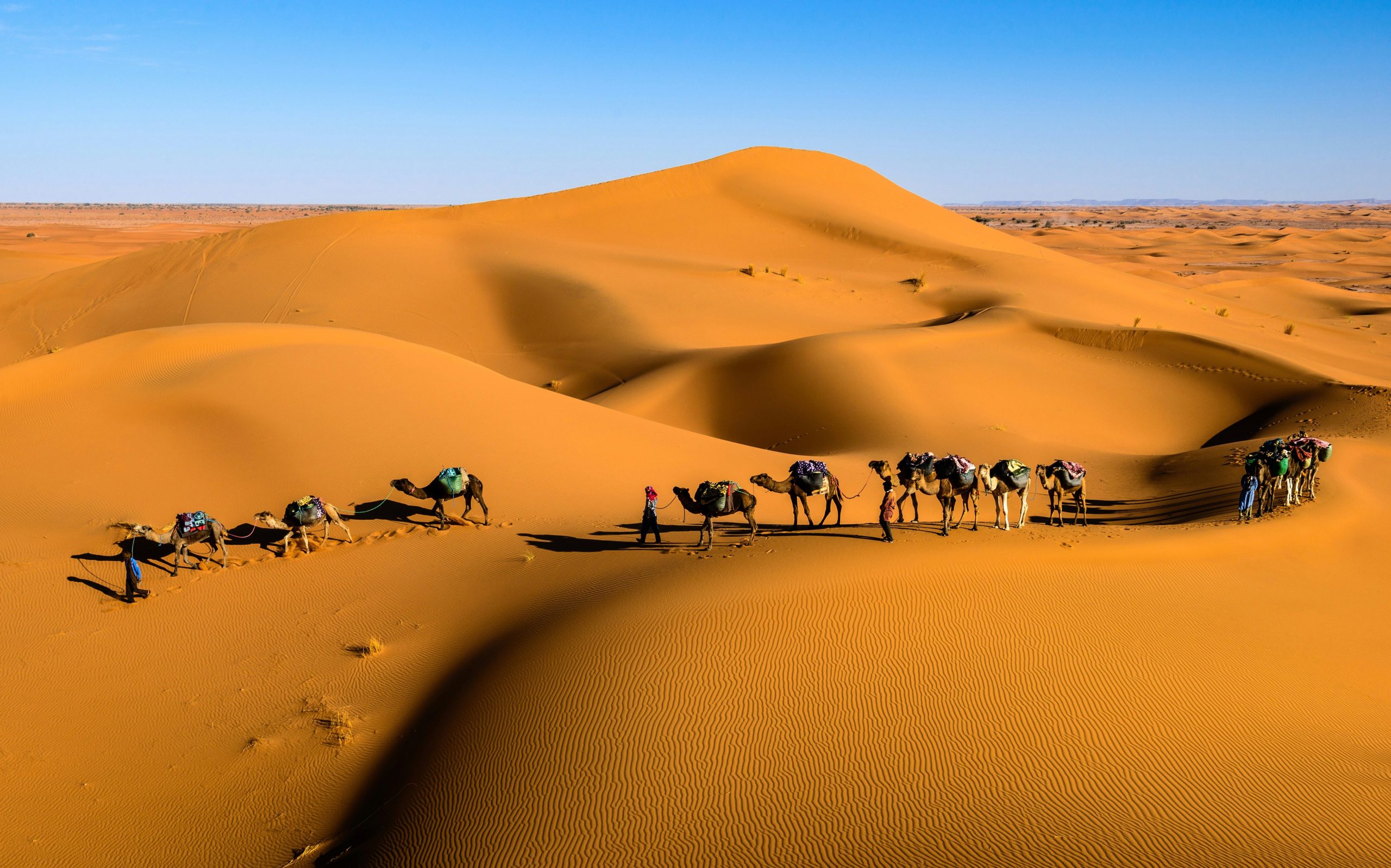 In the vast silence of the Gobi the horizon stretches beyond imagination. Sand dunes shift like waves, herds of two-humped Bactrian camels