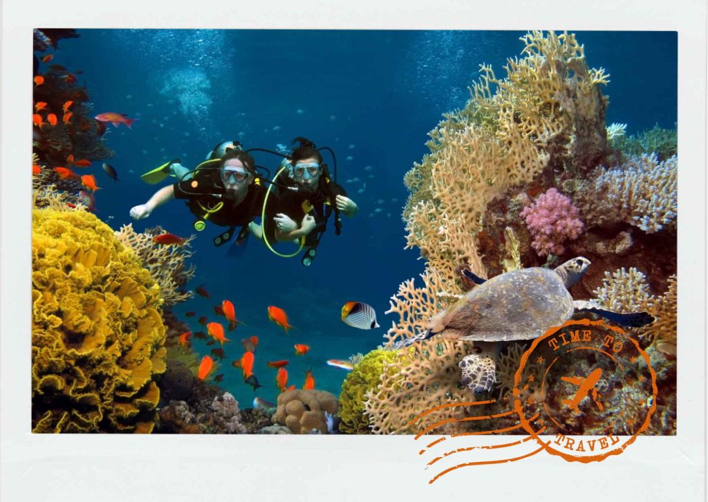 Manado — Life Beneath the Surface