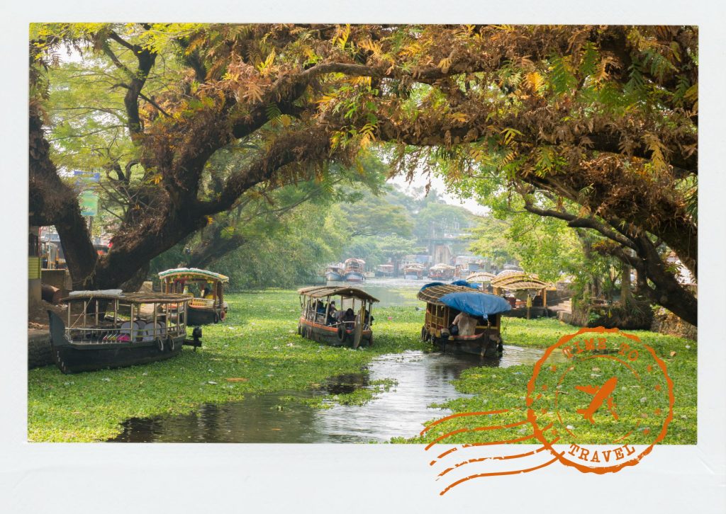 There is the emerald of rice paddies stretching across Kuttanad. The deep jade of coconut palms mirrored in the backwaters. The glossy green of banana leaves carrying a traditional sadya feast. 