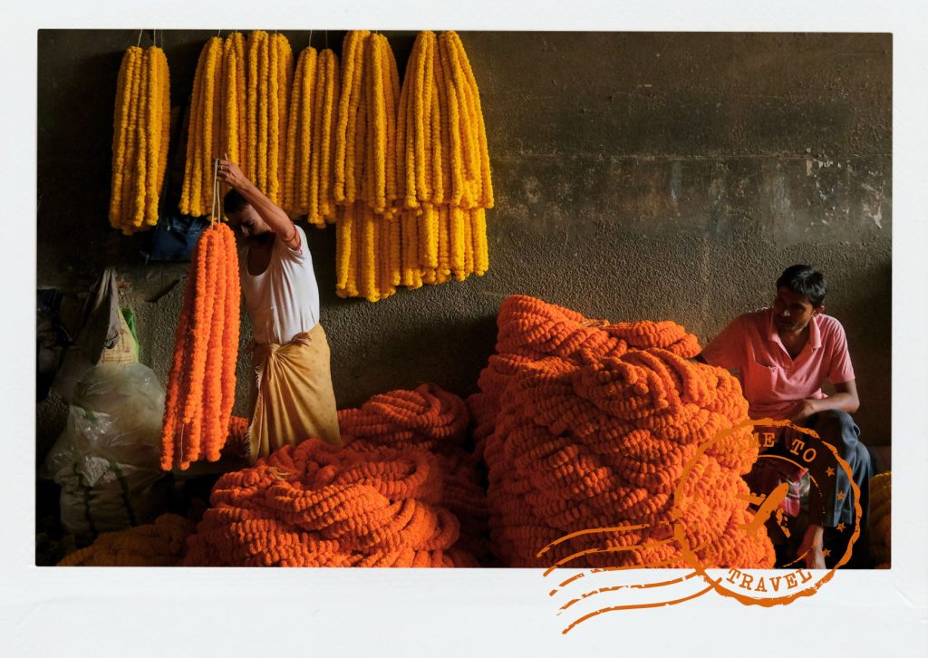 The marigold is Kolkata's daily offering. It adorns gods, celebrates life, honours the departed, and fills the city with colour from sunrise to sunset.
