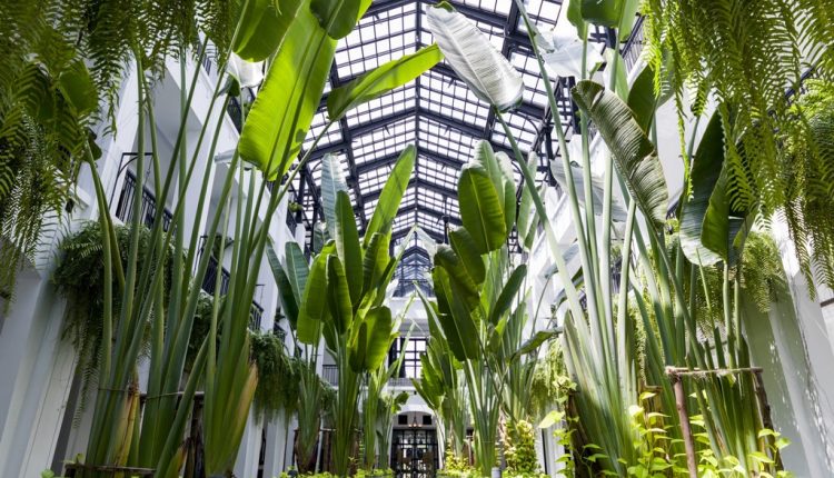 Beautiful green garden interior