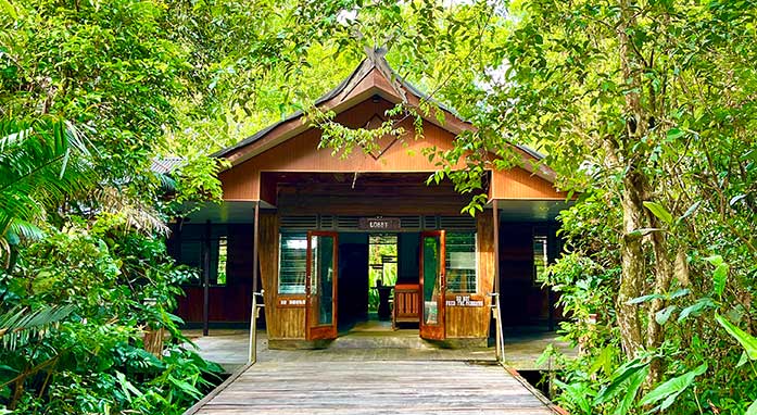 Rimba Orangutan Ecolodge highlight
