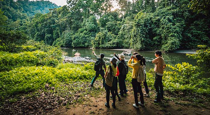 Borneo Rainforest Lodge, Danum Valley highlight
