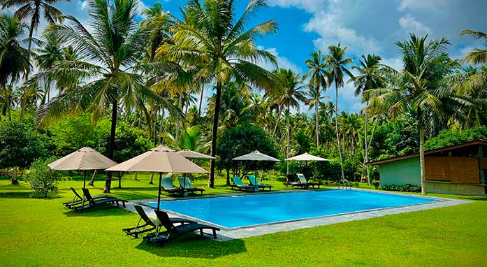 Ambarella Lodge & Spice Garden highlight