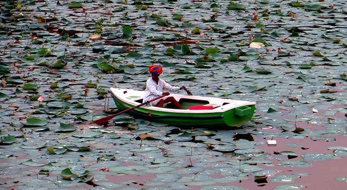 Shahpura Bagh Hotel highlight